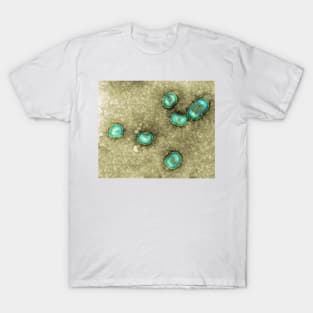 Influenzavirus B, TEM (M055/0432) T-Shirt